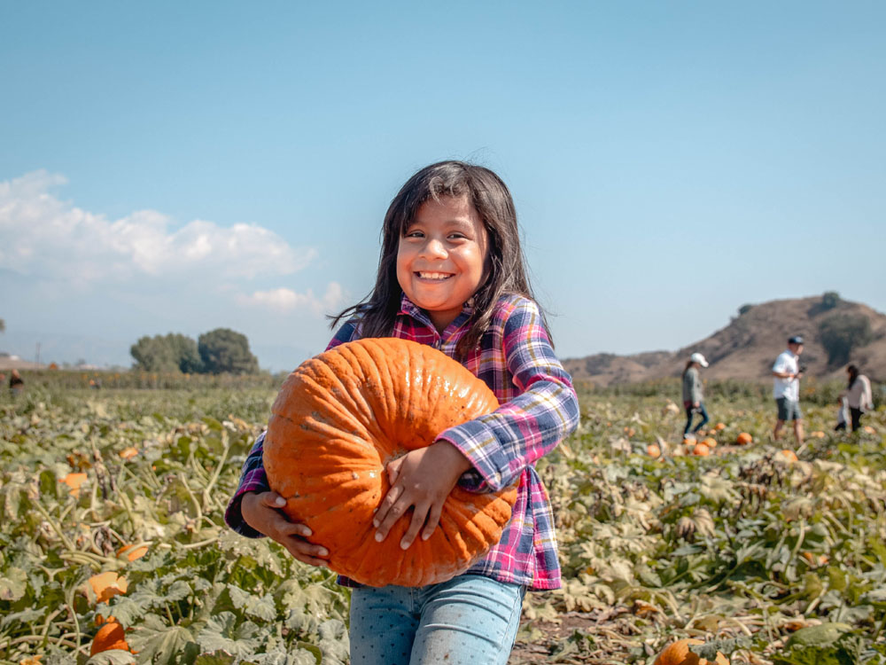 GirlPumpkin1000