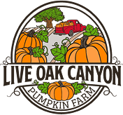 Live Oak Canyon Pumpkin Patch & Christmas Tree Farm, Redlands CA Logo