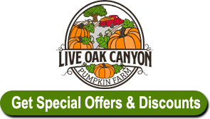 live oak canyon pumpkin patch dog friendly