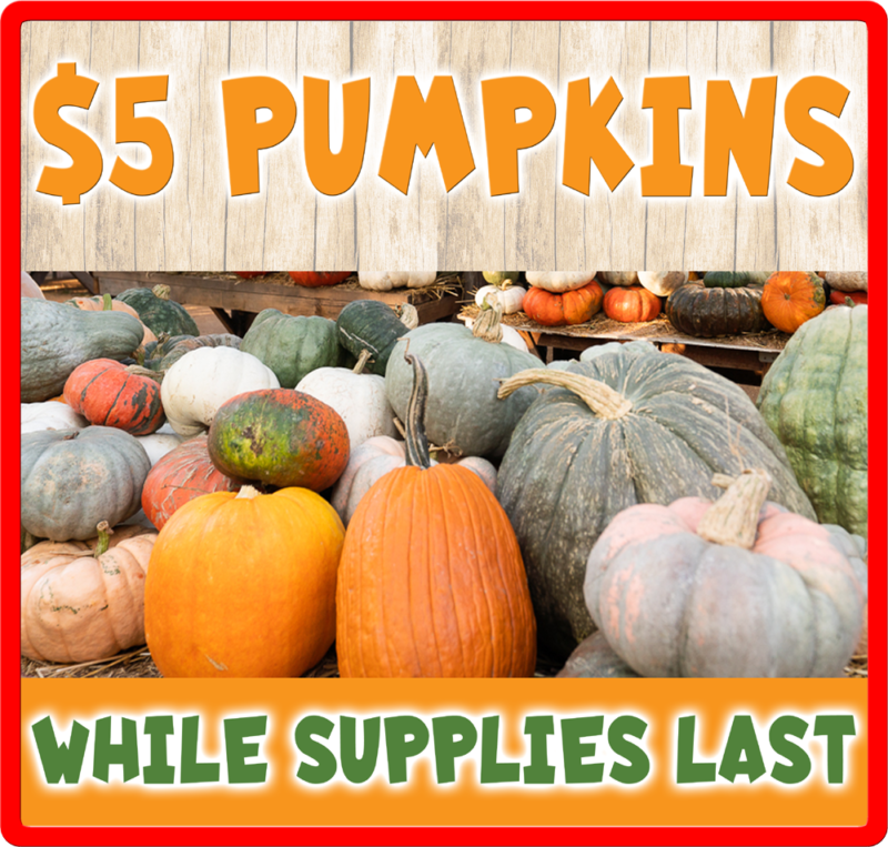 Specials – Live Oak Canyon Pumpkin Patch & Christmas Tree Farm ...