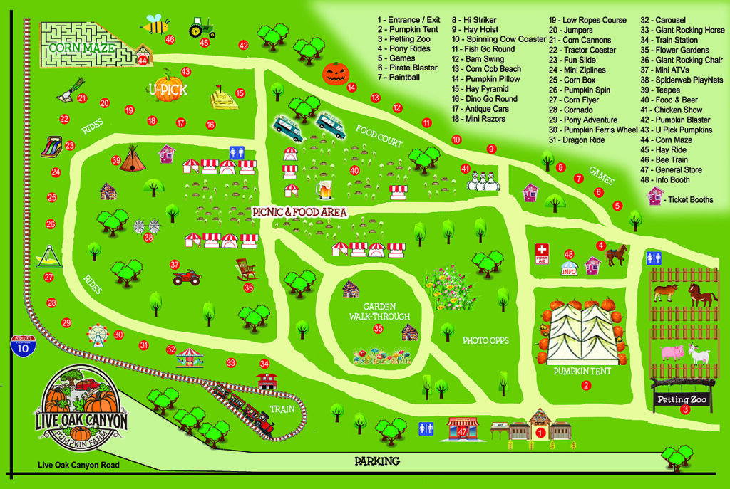 Attractions Live Oak Canyon Pumpkin Patch & Christmas Tree Farm