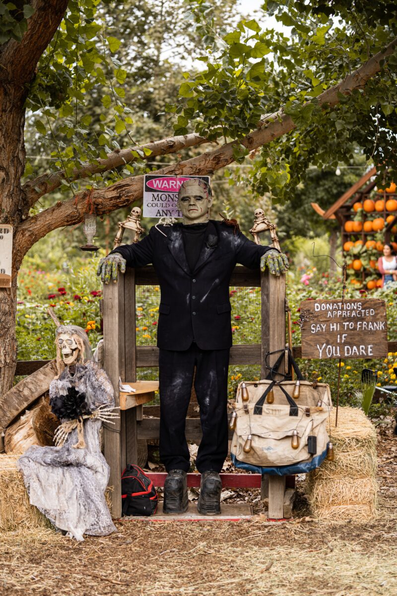 Gallery Live Oak Canyon Pumpkin Patch & Christmas Tree Farm, Redlands