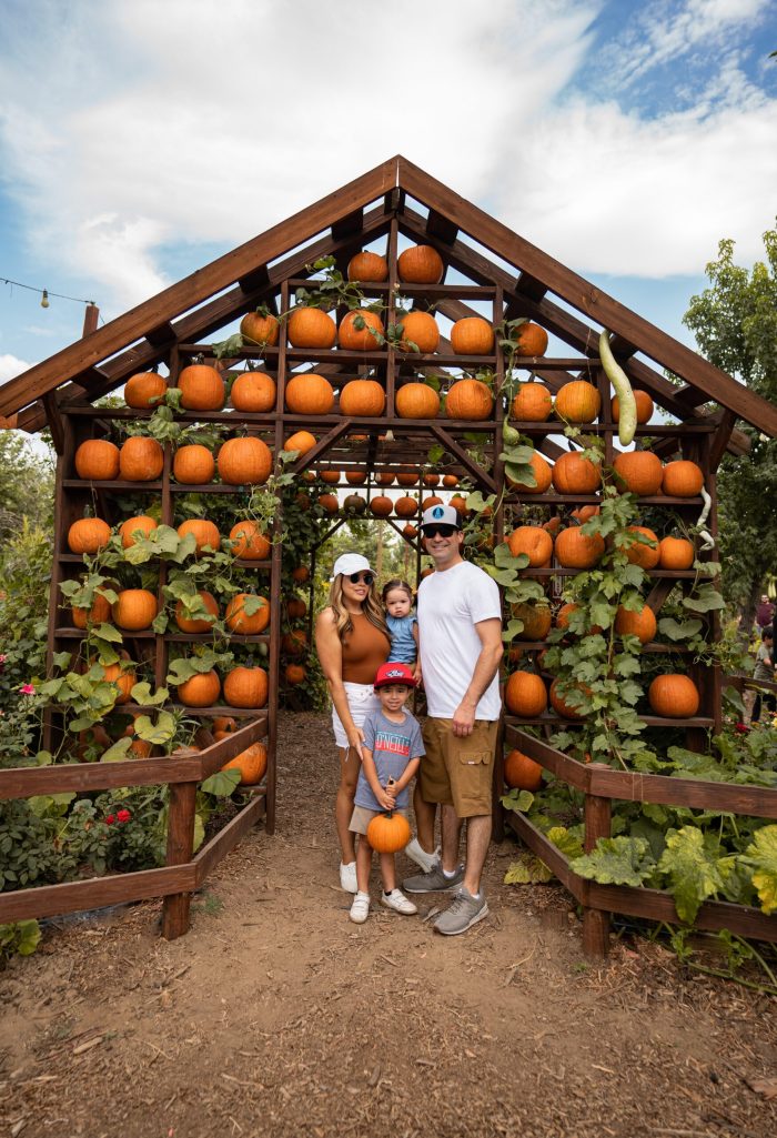 Pumpkin Houses - Image 5