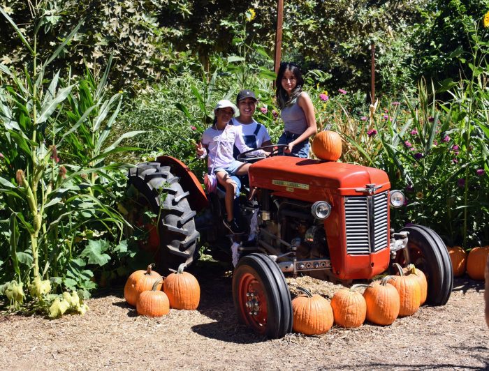 Tractors - Image 2