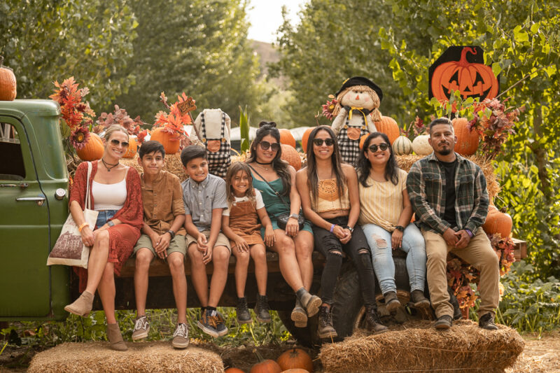 Gallery Live Oak Canyon Pumpkin Patch & Christmas Tree Farm, Redlands