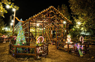 Christmas | Live Oak Canyon Pumpkin Patch & Christmas Tree Farm ...