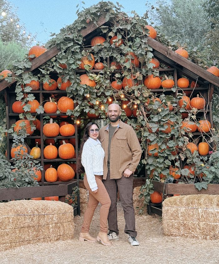 Pumpkin Houses - Image 4