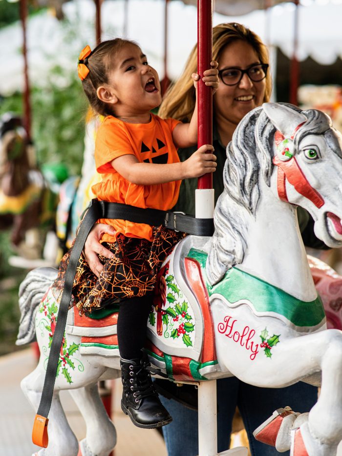 Carousel - Image 2