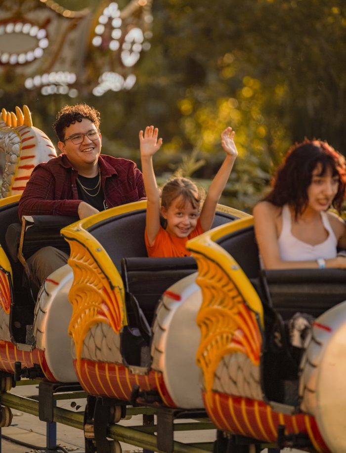Dragon Coaster - Image 3