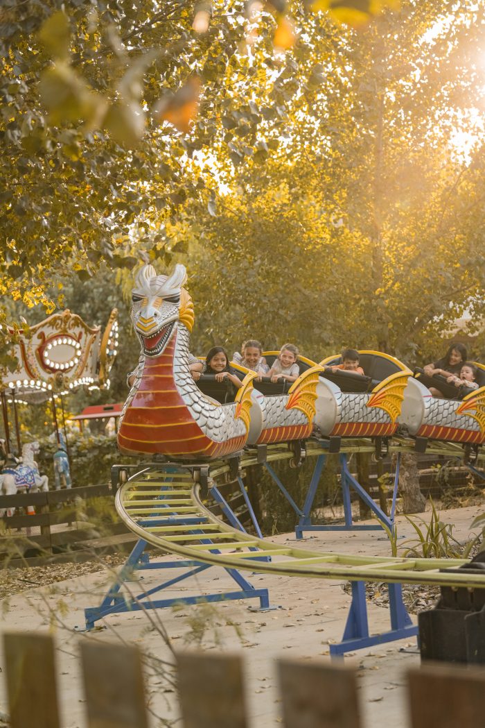 Dragon Coaster - Image 5