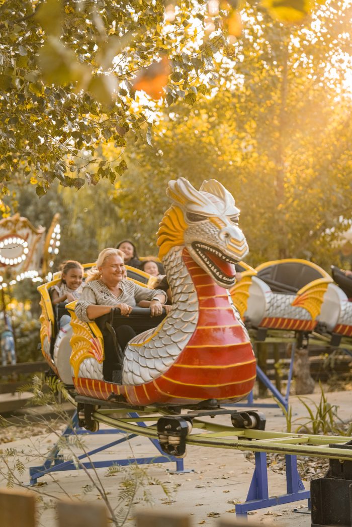 Dragon Coaster - Image 6