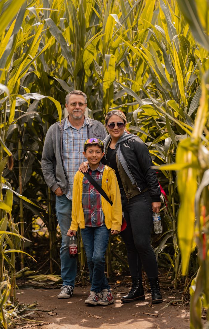Corn Maze - Image 3