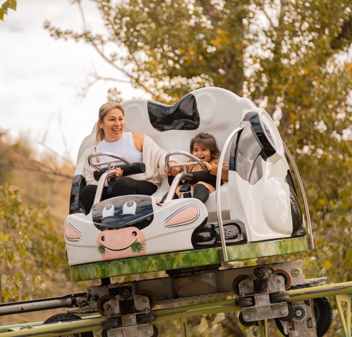 Spinning Cow Coaster
