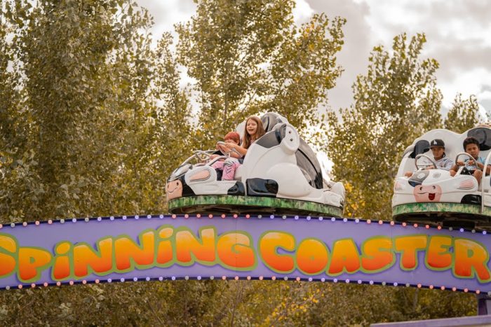 Spinning Cow Coaster - Image 2