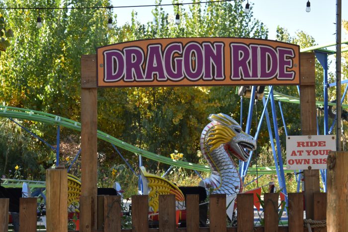 Dragon Coaster - Image 2