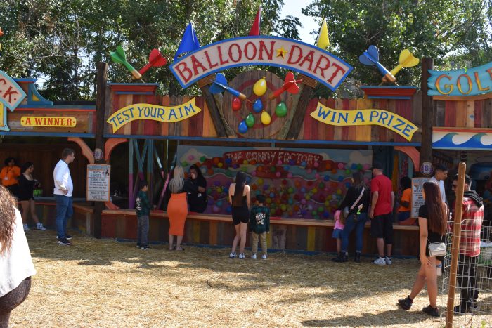 Balloon Bust - Image 2
