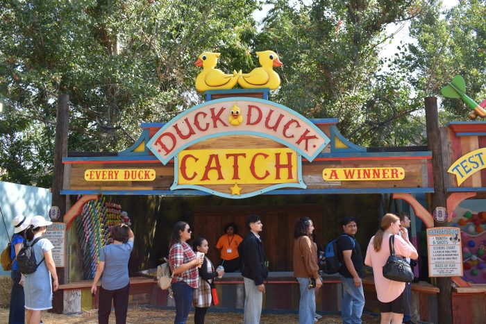 Duck Pond