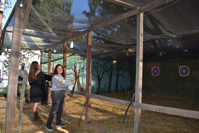 Archery - Image 2