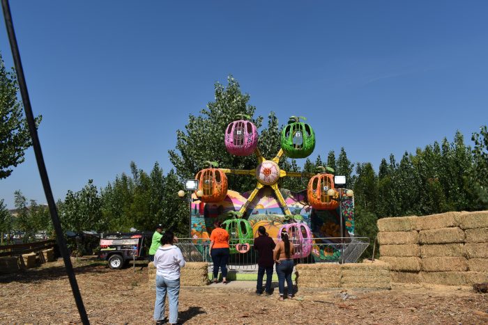 Pumpkin Ferris Wheel - Image 4