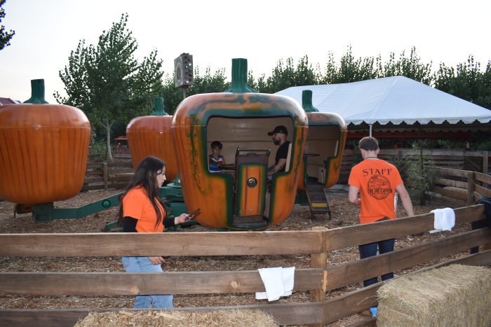 Pumpkin Spin - Image 3