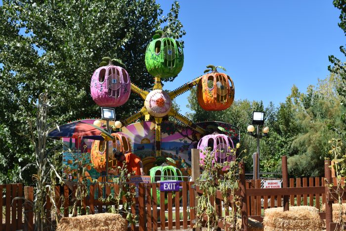 Pumpkin Ferris Wheel