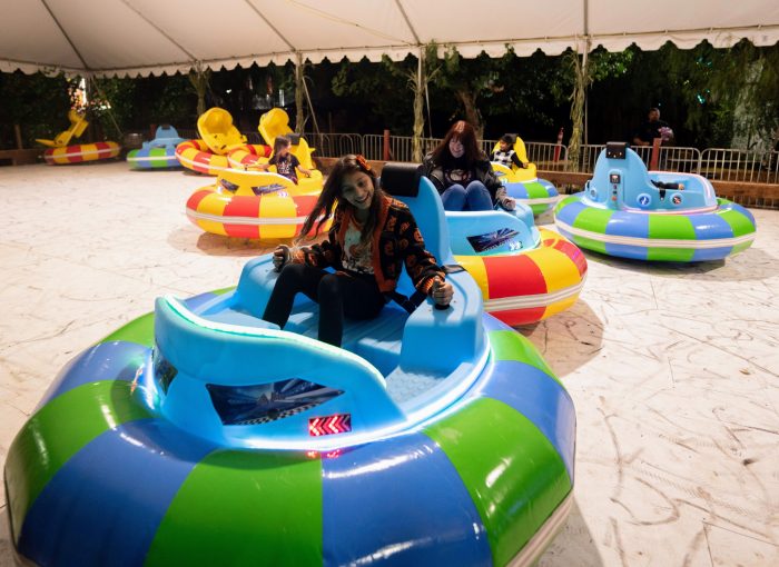 Bumper Cars