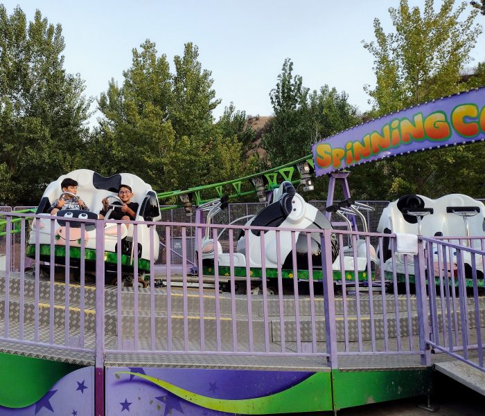 Spinning Cow Coaster - Image 3