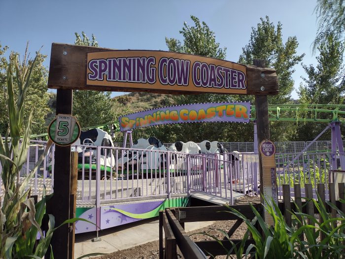 Spinning Cow Coaster - Image 4