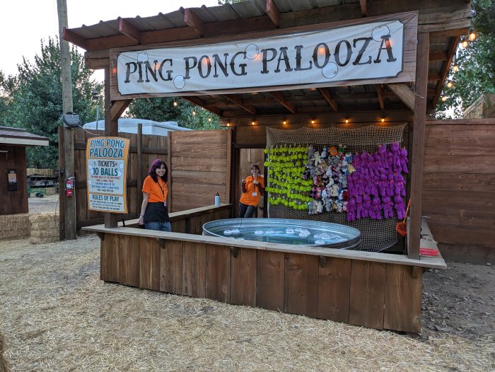 Ping Pong Toss - Image 2