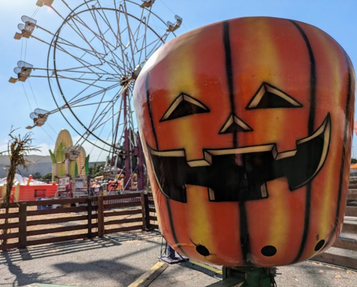 Pumpkin Spin - Image 2