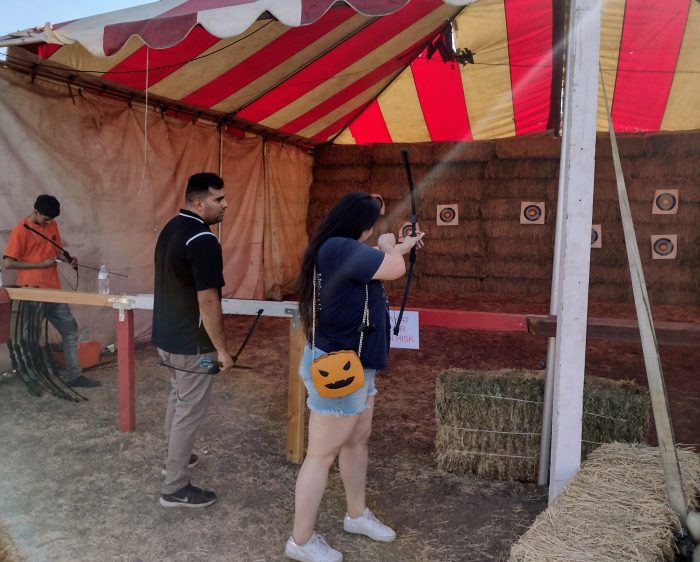 Archery - Image 4