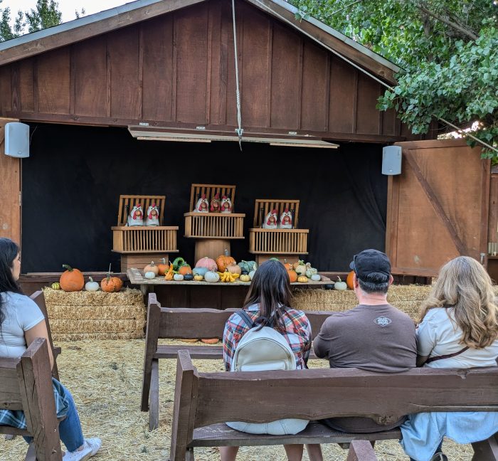 Chicken Show
