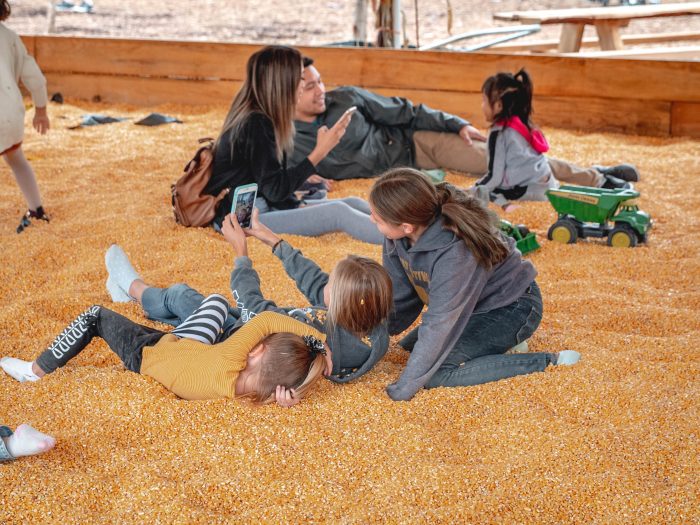 Corn Box - Image 2