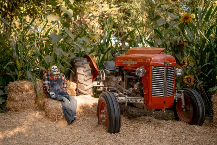 Tractors - Image 4