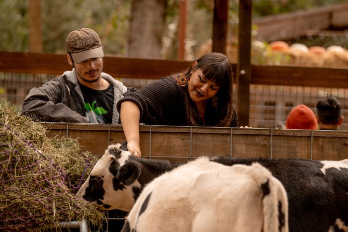Petting Zoo - Image 4