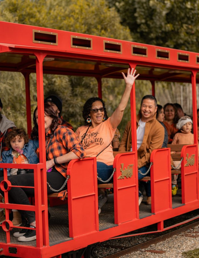 Big Train - Image 3