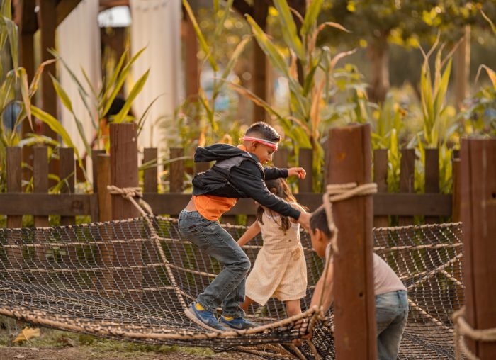 Spiderweb Playnets