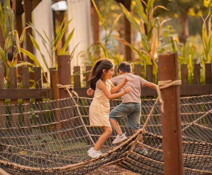 Spiderweb Playnets - Image 2