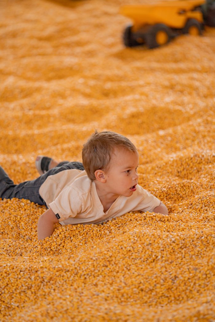 Corn Box - Image 3