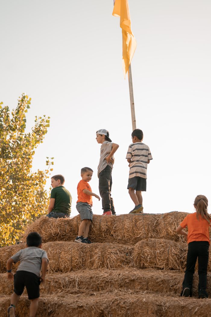 Hay Pyramid - Image 2