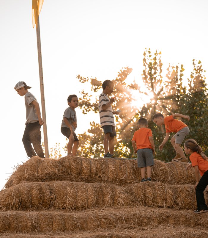 Hay Pyramid