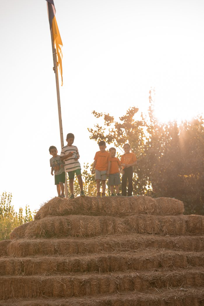 Hay Pyramid - Image 3