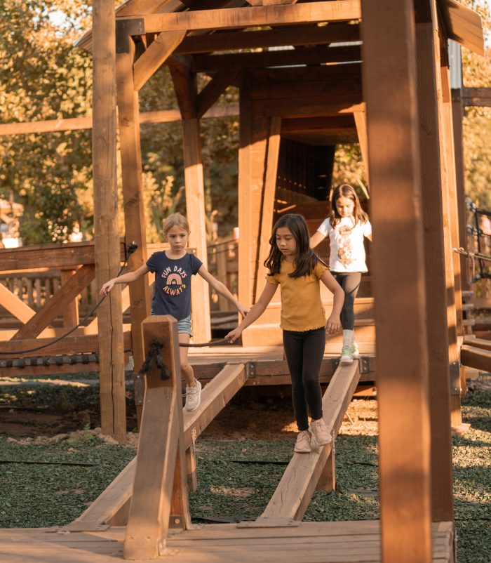 Low Ropes Course - Image 2