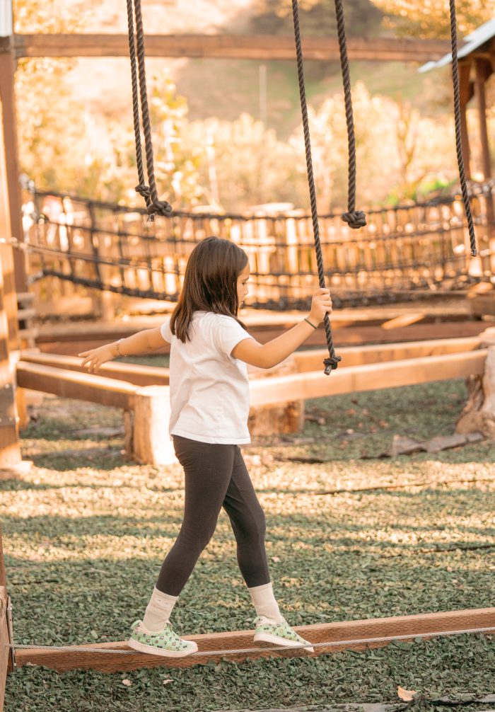 Low Ropes Course - Image 3