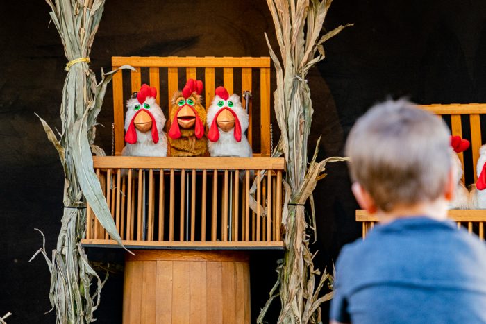 Chicken Show - Image 3