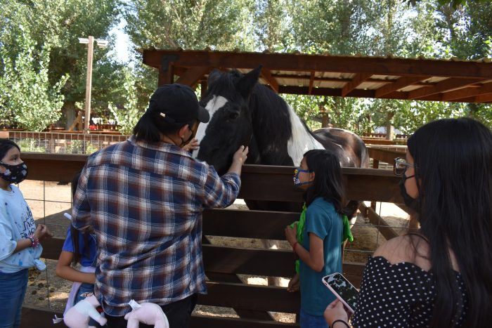 Petting Zoo - Image 9