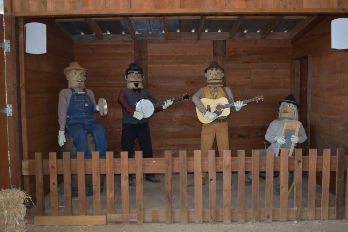 The Banjo Boys