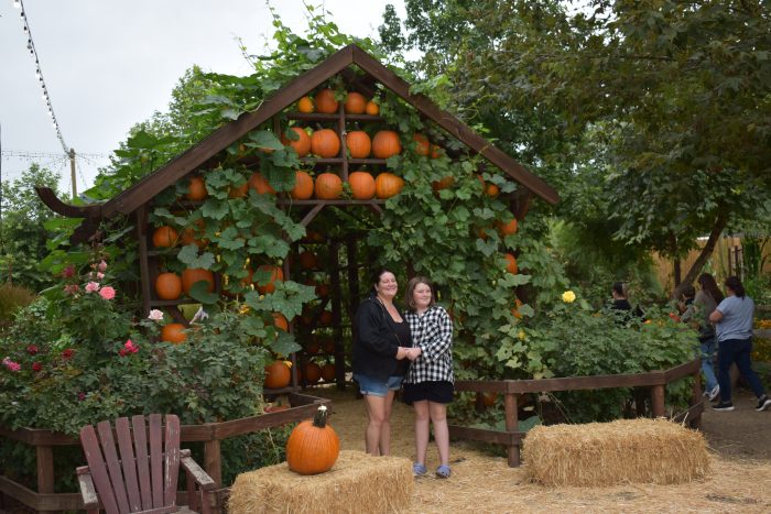 Pumpkin Houses - Image 2