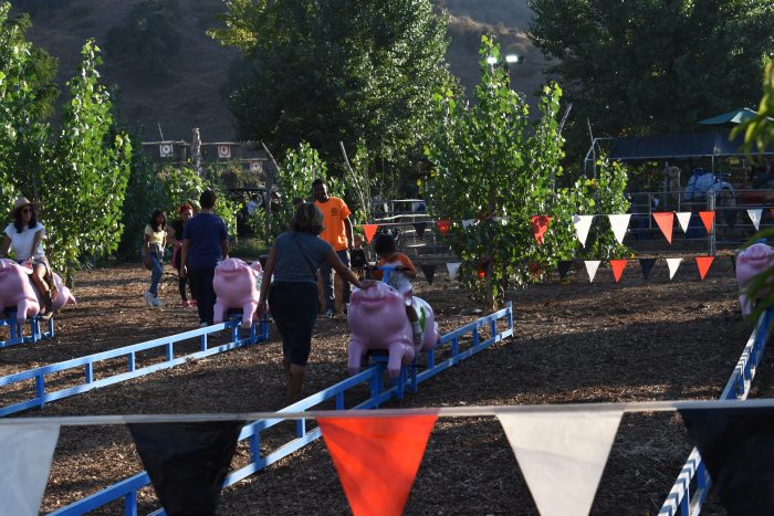 Pig Races - Ride On - Image 3