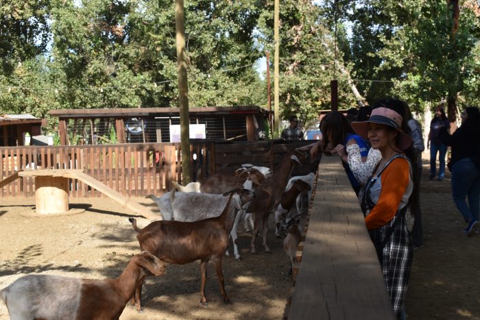 Petting Zoo - Image 5